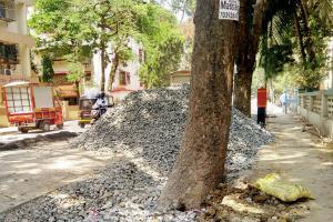 Mumbai: Activist says BMC root cause of danger to 34 trees at Kandivli