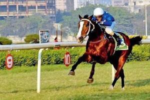 Horse racing: Top  jockeys hog limelight