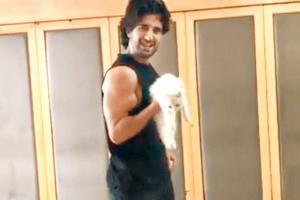 Aditya Seal has got a furry workout buddy; see picture