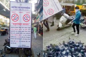 Vasai activists victorious in coo to take down anti-pigeon banners
