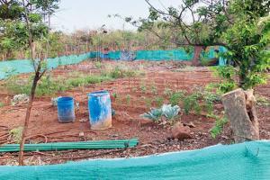 Mumbai: Illegal hutments being built near Vihar lake, say locals