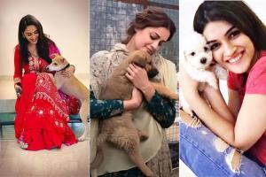 National Pet Day: B-town celebs express love towards their pets