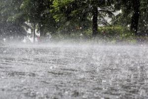 22 killed in unseasonal rains, lightning in Madhya Pradesh