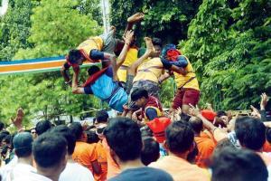 Janmashtami 2019: Holiday for schools in Maharashtra for Dahi Handi