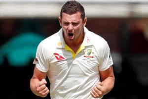 Australia's Josh Hazlewood in the wickets on Ashes return