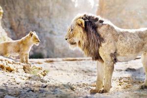 It kind of hurts: Original Lion King animator criticises Disney remake