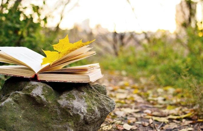 Listen to poems about the planet
