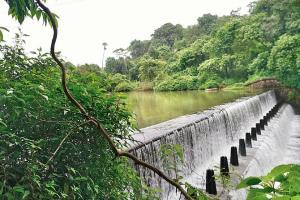 Is Tulsi Dam safe? Brihanmumbai Municipal Corporation asked to check