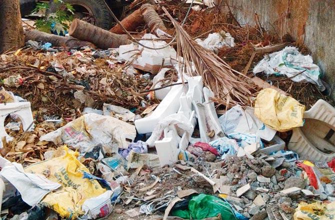 Mumbai has fallen drastically in the cleanliness ranking since last year