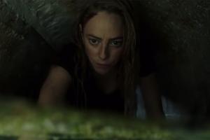 Crawl Movie Review - A fairly exciting thriller