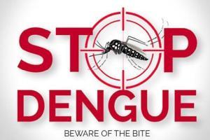 12,000 dengue patients hospitalised in Bangladesh: Health Report