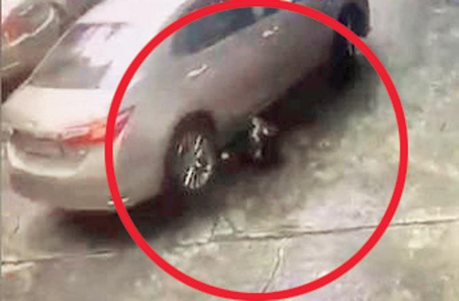 CCTV footage from the building shows the car running over the dog