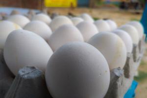 Forget bananas, 2 boiled eggs can cost you Rs 1,700