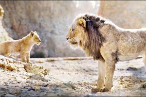 The Lion King is unstoppable, crosses Rs 150 crore mark