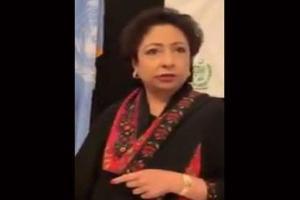 Maleeha Lodhi gets slammed by a Pakistani at an event