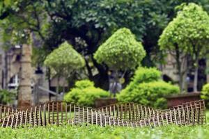 Mumbai: Climb up a ladder, read a book, under the sky