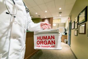 Challenges and results in improving organ donation rate