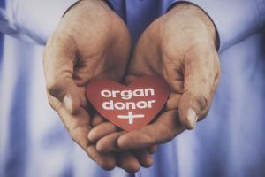 Mumbai maintains pace in organ donation with 51 donors