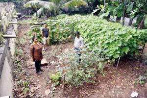 Mumbai: Pali Hill takes over waste management