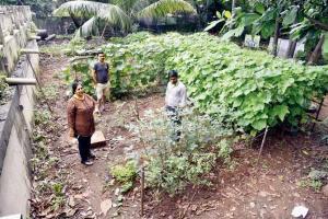 Mumbai: Pali Hill takes over waste management