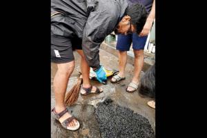 Mumbai: Trolled BMC says you can fill potholes