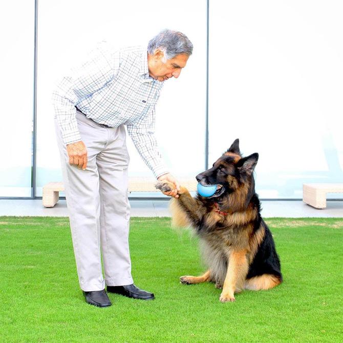 Did you know? At the age of 10, Ratan Tata's parents Naval and Sonoo separated in 1948. Ratan Tata was raised by his grandmother Navajbai Tata, who was the widow of Sir Ratanji Tata
In photo: Ratan Tata with his pet dog, late Tito
