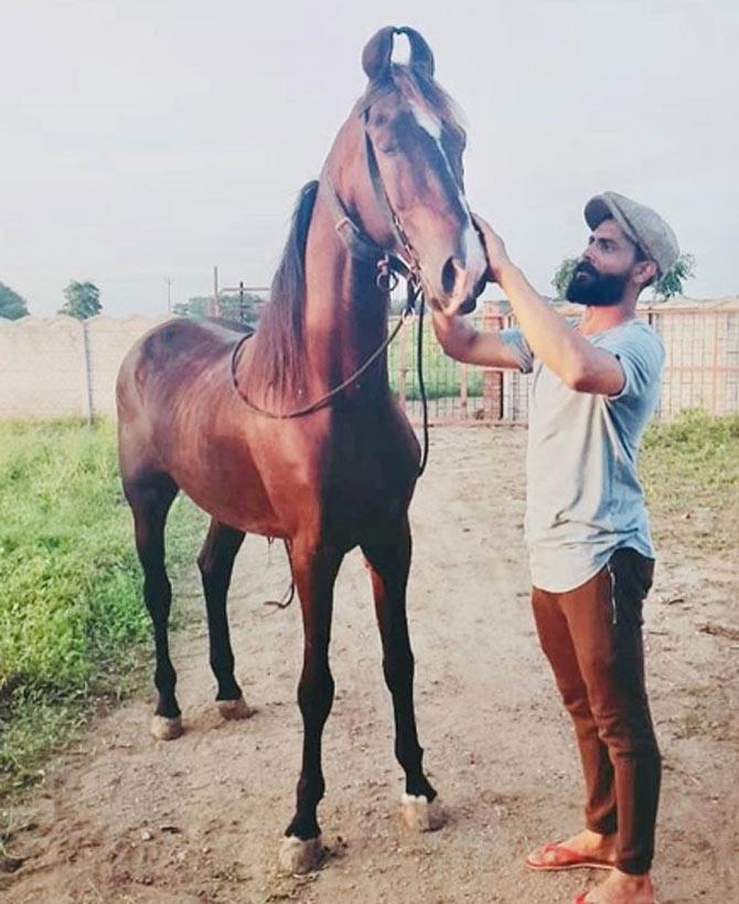 Ravindra Jadeja shared this photo of him with one of his horses at his farm and captioned it, 'A quality time spent with my babies. #loyalanimal #lalbeer #vaari'