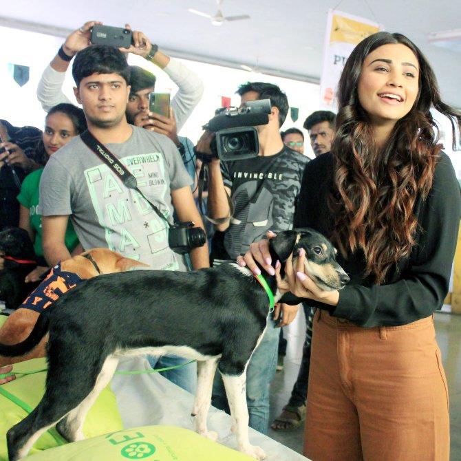 Daisy Shah is also a dog lover. The adoption fair saw over 180 healthy and fully-vaccinated stray dogs and kitties up for adoption. Daisy Shah who has been a regular visitor of the fair for the last three years was seen snuggling with the dogs at the fair.