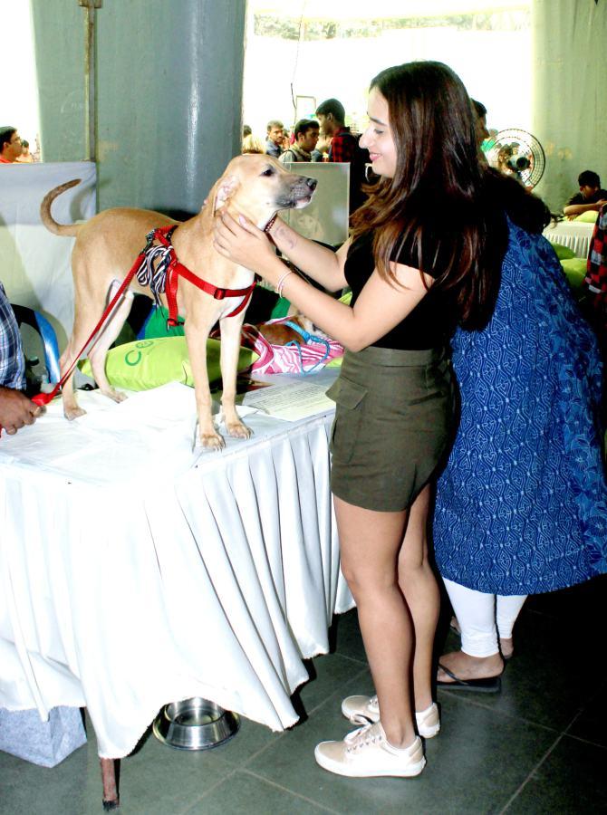Natasha Dalal, actor Varun Dhawan's girlfriend was seen cosying up to a puppy at the adoption drive.
