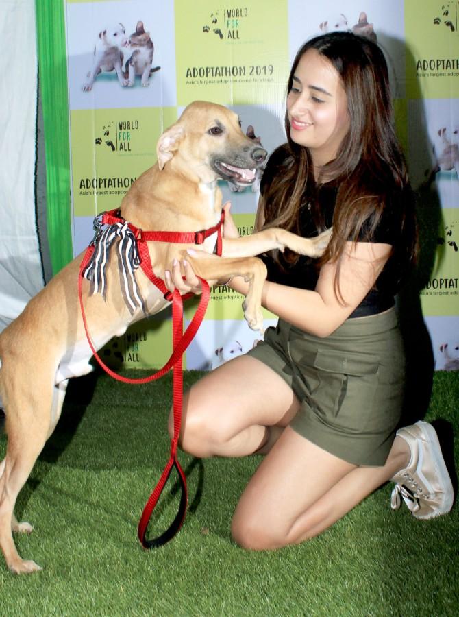 Animal lover Natasha Dalal was clicked at Adoptathon 2019, an adoption camp held in Bandra, over the weekend. The event, organised by the non-profit World For All Animal Care and Adoptions, was attended by many other animal lovers. All pictures/Yogen Shah