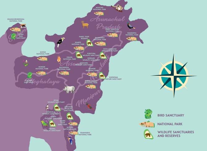 The book presents all the Indian states with their bird sanctuaries, nature parks and tiger reserves mapped. Pic courtesy/Living nature