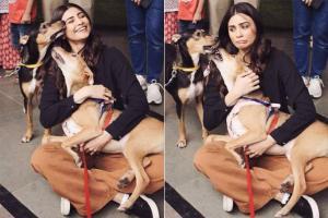 Daisy Shah during stray dog adoption fair: Adopt, don't shop