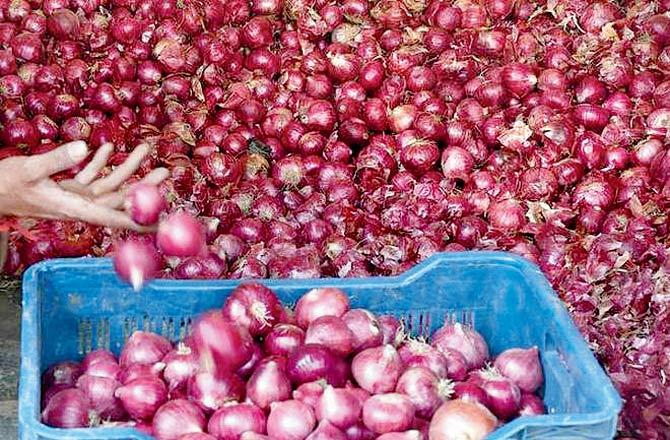 How to save an onion