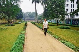 Mumbai: Open spaces vs Miyawaki forests