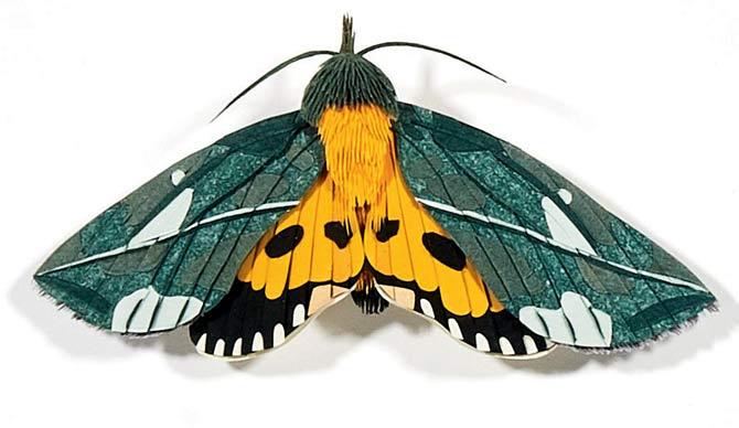Moth Series 3, one work with 10 individual paper cut moths