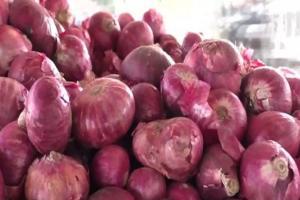 Onions prices continue to surge leaving customers in distress