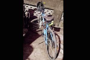 Mumbai: Cyclist killed after unidentified vehicle mows her down on EEH