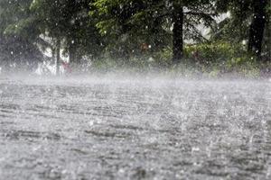 'Tamil Nadu likely receive widespread rainfall in the next 48 hours'