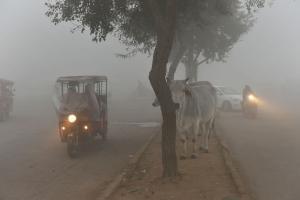 Fog disrupts traffic, delays flights in Delhi: Twitterati reacts
