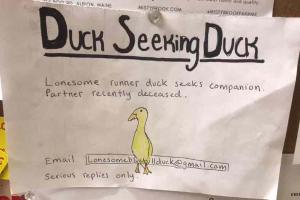Man posts flyer seeking partner for duck on Facebook, wins internet