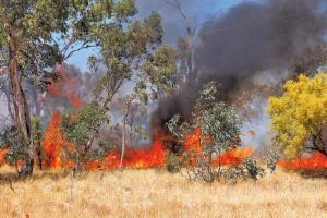 Mega fire out of control in Australia