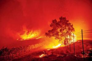 USD 13.5 billion settlement for California wildfires