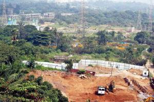 Hand over Aarey to forest department, says conservation group
