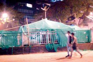 Mumbai: BMC shuts kabootar khana, locals furious