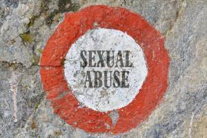 Encounter of four accused in Telangana rape case 'painful': TRS MLA
