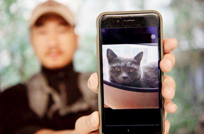 Jinrong has been able to trace over 1,000 lost pets in the last seven years