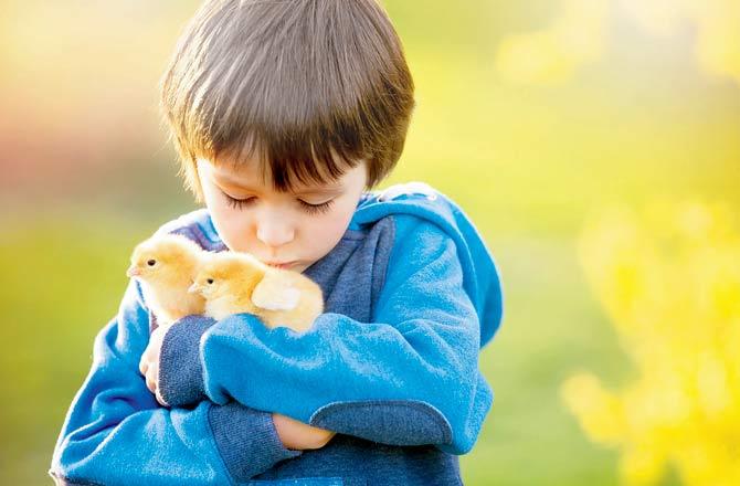 Kids given chicks to fight phone addiction
