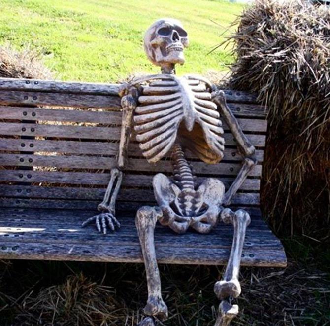While the whole world was going ga-ga over Deepika Padukone and Ranveer Singh's wedding, Smriti Irani took to Instagram to share her inner feelings about the star-studded wedding. She shared a picture of a skeleton and captioned it: When you have waited for Deepika-Ranveer's wedding pics for too longgggg!