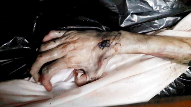 A partially decomposed body of a man found in Irla nullah:
On January 1, 2018, the Juhu police recovered the body of an unidentified man in his 30s from the Irla nullah. The body, found in the nude and in a partly decomposed condition, had four tattoos, based on which the Juhu police tried to trace his identity. The police registered a case of murder and conspiracy. Some locals had spotted the body post which they alerted the Juhu police. According to the police, the deceased had long hair and beard and was aged between 25 and 35. The body was taken to Cooper Hospital for a post-mortem. A case under sections 302 (murder) and 201 (causing disappearance of evidence of offence, or giving false information to screen offender) of the IPC was registered in the matter.