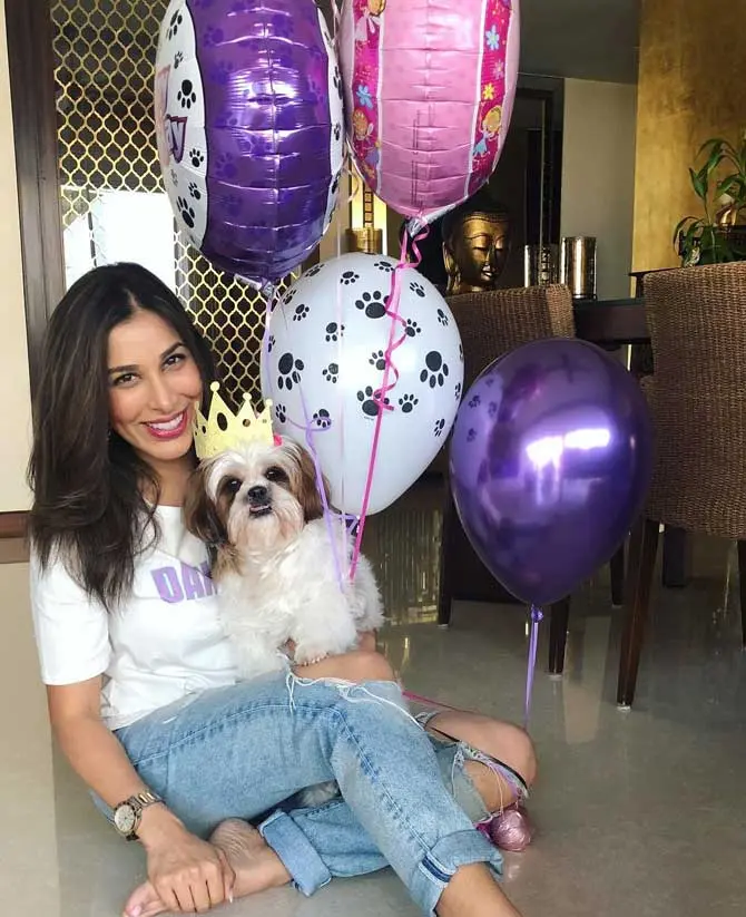 Sophie Choudry has a cute little Shih Tzu pup named Tia. Sophie loves the dog so much that she has opened an Instagram account for her! In one of her Instagram pictures with the puppy, Sophie says, 